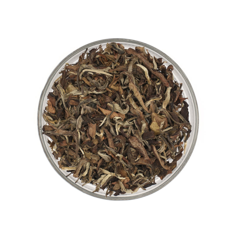 Saintly White Tea - Loose Leaf